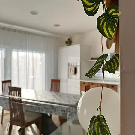 Roberta Apartman Riccione